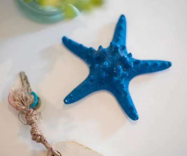 Apartamento La Petite Maison